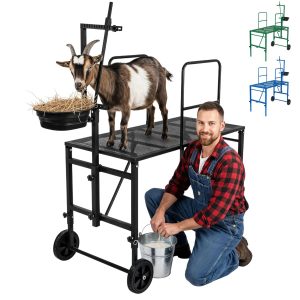 Goat-milking-grooming-stand