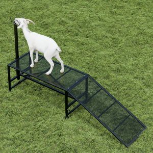 Milking-and-Trimming-Stand